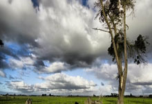 [棋牌]同里杯天元赛预选赛时越等16人晋级 本赛14日打响.：旺财28