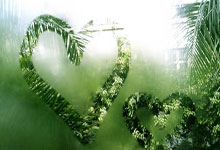 速滑世界杯第二日:宁忠岩再战斯托尔兹 韩梅期待找回状态央视新闻客户端.