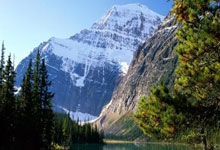 辽宁男篮116:90战胜山东男篮,位列CBA常规赛第4名.:旺财28