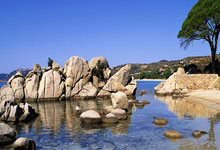 [棋牌]同里杯天元赛预选赛时越等16人晋级 本赛14日打响.：旺财28